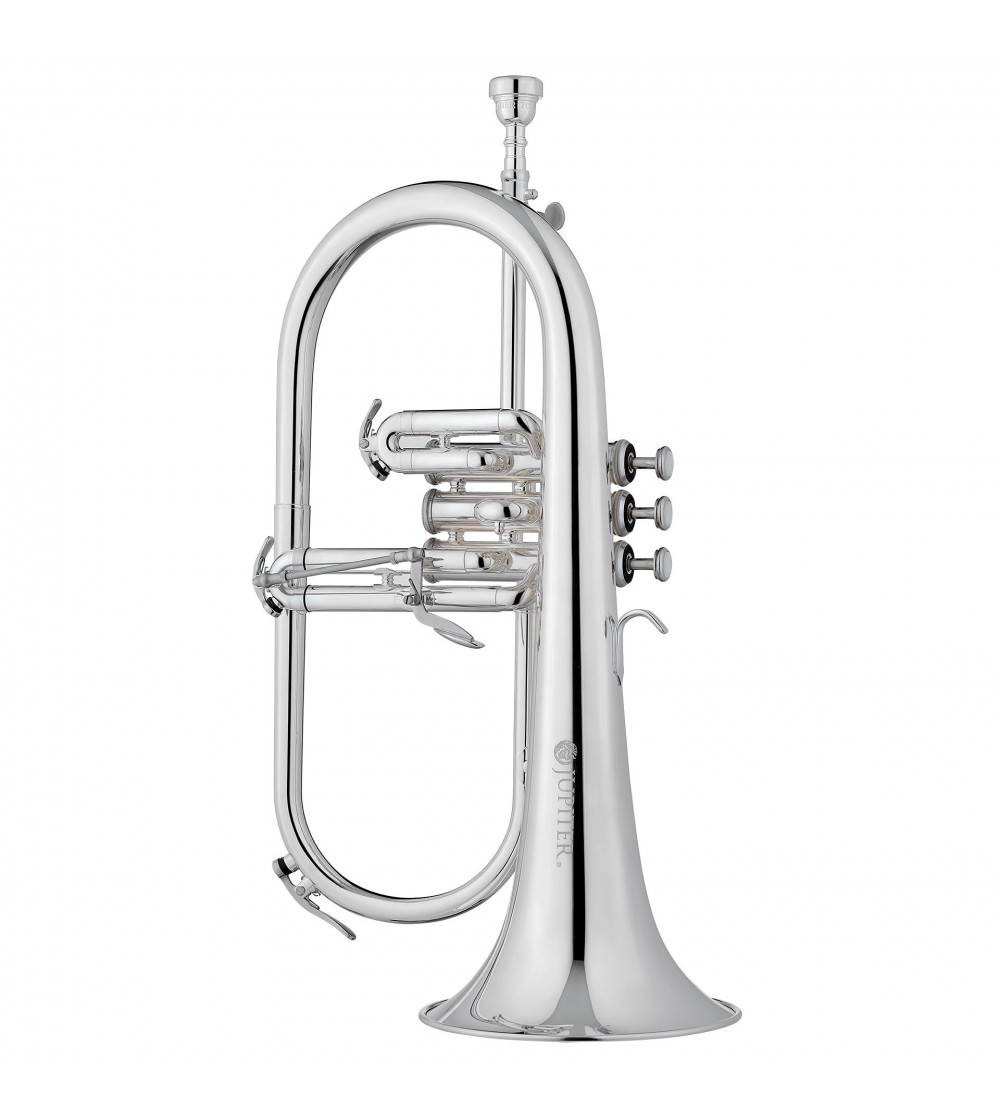 FLISCORNO PISTON JUPITER JFH1100RS.