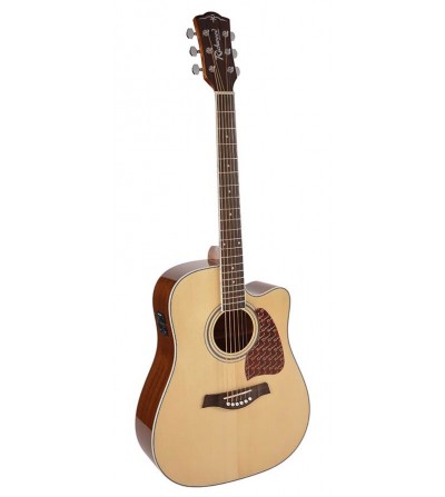 Richwood RD-17-CE Artist Series acoustic guitar Fishman EQ and tuner