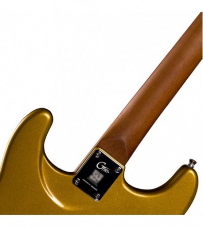 MOOER Guitarra electrica con usb/midi integrado GTRS S800 GOLD