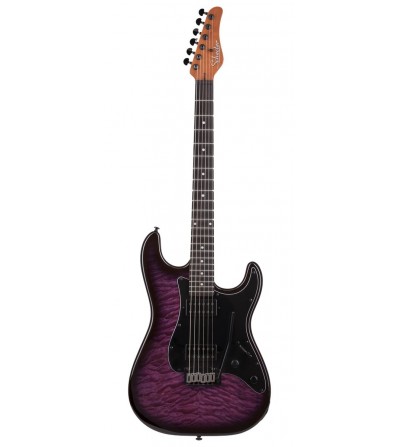 SCHECTER Guitarra eléctrica st TRAD PRO-EBONY TPB