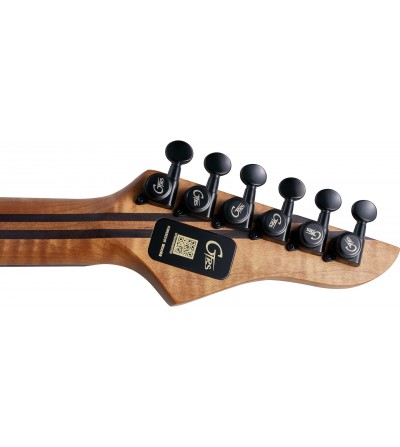 MOOER Guitarra electrica con usb/midi integrado GTRS M810 PURPLE BURST