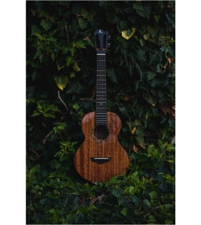 Kunde Sun Eclipse 26. Ukelele tenor con funda